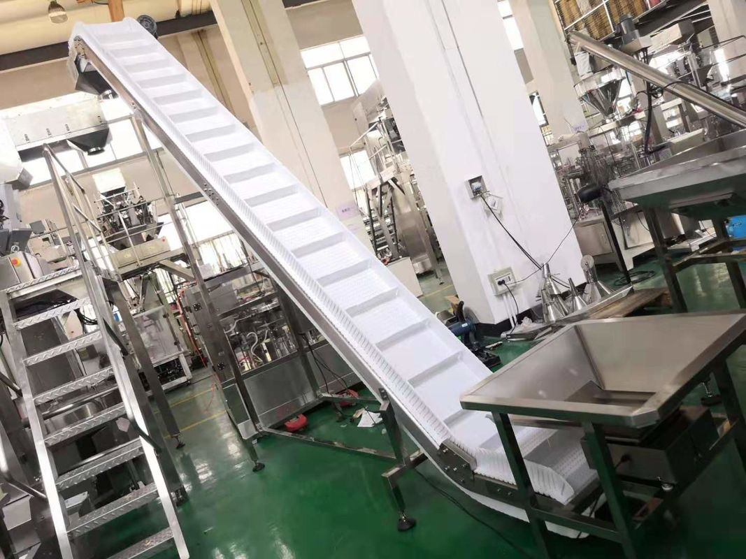 0.75KW Incline Conveyor Systems